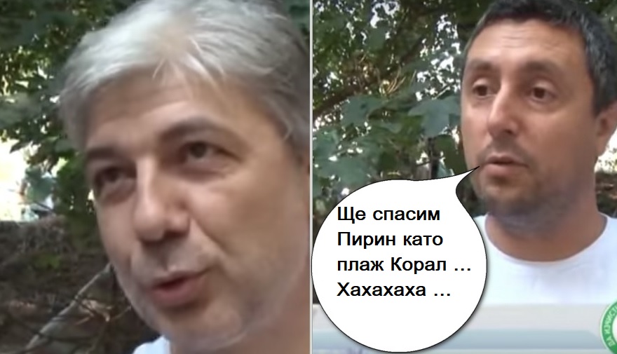 Изгнилите дюшеци се подкрепят...  Това са ни  
