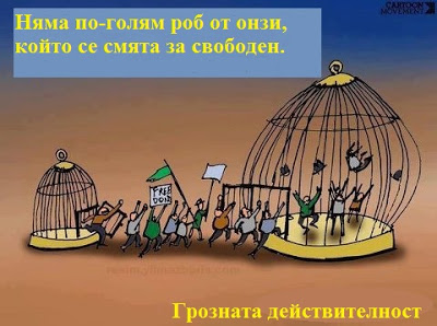 svoboda_0