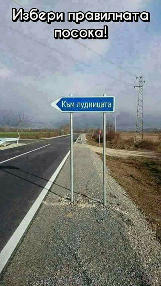 Доживяхме и до култ към Бойко Борисов