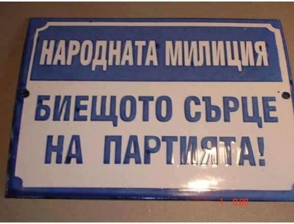 MVR9 (1)