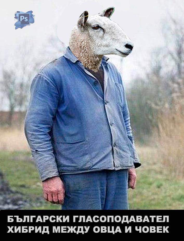00-овца