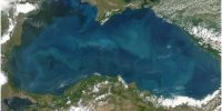 Черно море е все по-застрашено