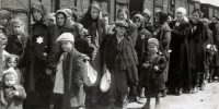 Един на всеки четирима млади хора в Нидерландия вярва, че Холокоста е мит